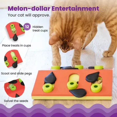Product Melon Madness Puzzle & Play Cat Toy