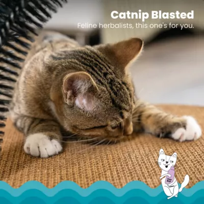 Product Charming Pet Squawkers Earl Latex Rubber Chicken Interactive Dog Toy