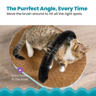 Product Charming Pet Squawkers Earl Latex Rubber Chicken Interactive Dog Toy