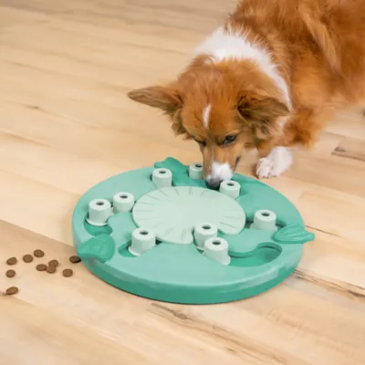 Product Outward Hound Nina Ottosson Dog Worker Dog Puzzle Interactive Treat Puzzle Dog Enrichment Dog Toy