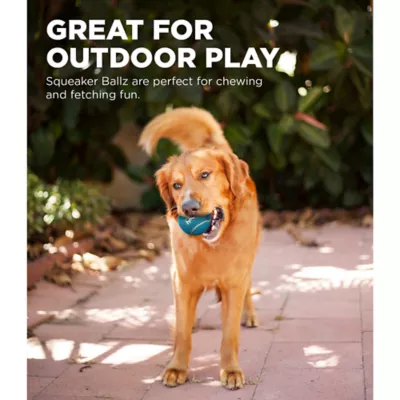 Product Outward Hound® Squeaker Ballz Dog Toy