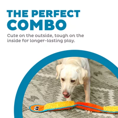 Product Outward Hound Durablez Snake Plush Dog Toy