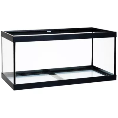 Product Marineland Open Glass Aquarium