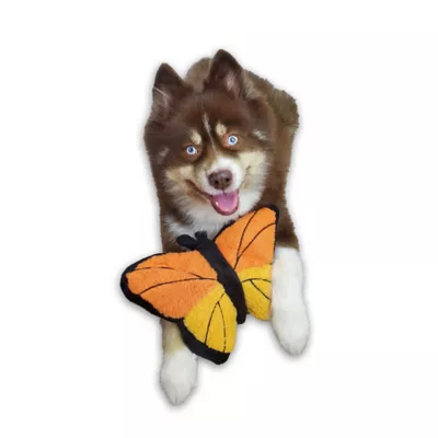 Product Barker's Boutique Wildlife Bella Monarch Butterfly