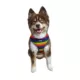 Product Hip Doggie Ultra Comfort Reflective Harness Vest