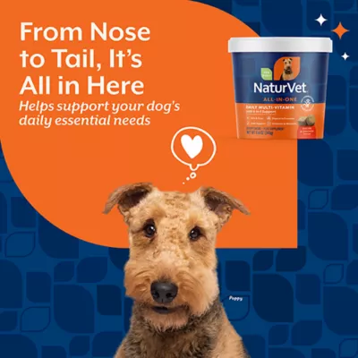 Product NaturVet All-In-One Multivitamin Soft Chews for Dogs