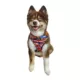Product Hip Doggie Ultra Comfort Reflective Harness Vest