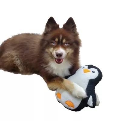 Product Barker's Bowtique Wildlife Polly the Penguin Dog Toy