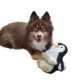 Product Barker's Bowtique Wildlife Polly the Penguin Dog Toy