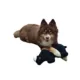 Product Barker's Bowtique Wildlife Gertie Black Rhino Dog Toy