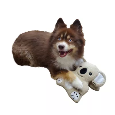 Product Barker's Bowtique Wildlife Kiki Koala Dog Toy