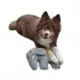 Product Barker's Bowtique Wildlife Earl Elephant Dog Toy