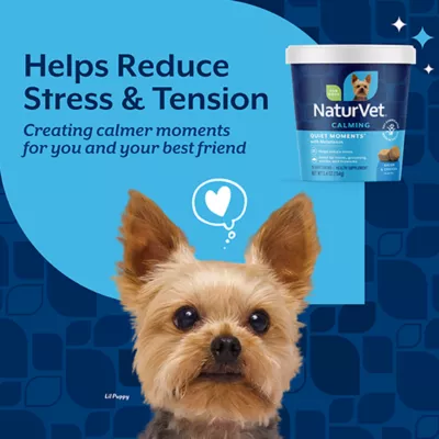 Product NaturVet Quiet Moments Calming Aid Plus Melatonin Soft Chews for Dogs