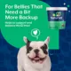 Product NaturVet Advanced Probiotic & Enzymes Soft Chews for Dogs 70 ct