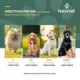 Product NaturVet Hemp Advanced Joint Health Chews for Dogs