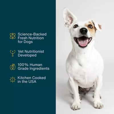 Product JustFoodForDogs Adult Frozen Dog Food - Lamb & Brown Rice, 18 oz