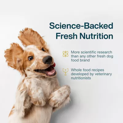 Product JustFoodForDogs All Life Stages Frozen Dog Food - Fish & Sweet Potato, Grain Free