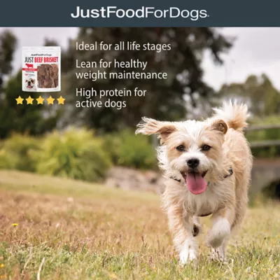 Product JustFoodForDogs Just Beef Brisket Single Ingredient Beef Brisket All Life Stages Dog Treats