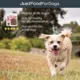 Product JustFoodForDogs Just Beef Brisket Single Ingredient Beef Brisket All Life Stages Dog Treats