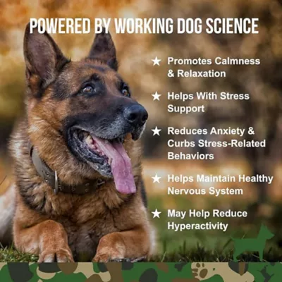Product Operation Good Boy Calming Health Supplement for Dogs