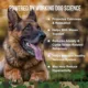 Product Operation Good Boy Calming Health Supplement for Dogs