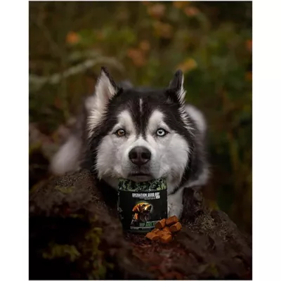 Product Operation Good Boy Hip & Joint Health Supplement for Dogs