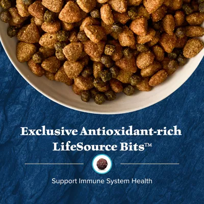 Product Blue Buffalo Wilderness Nature's Evolutionary Diet Adult Dog Dry Food - Grain Free, Salmon
