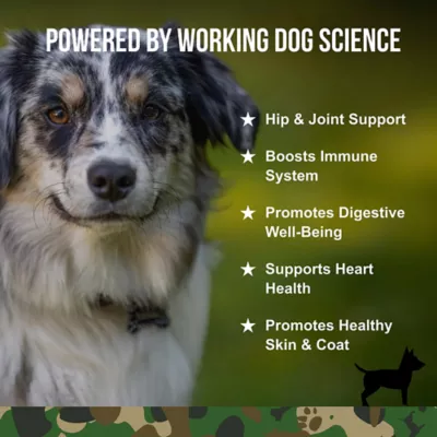 Product Operation Good Boy Multi-Function Support Supplement for Dogs