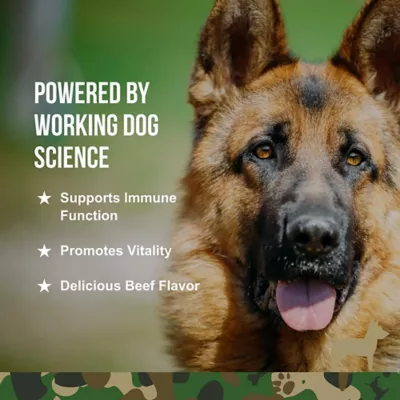 Product Operation Good Boy Immunity Supplement for Dogs