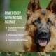 Product Operation Good Boy Immunity Supplement for Dogs