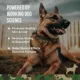 Product Operation Good Boy Skin Coat Allergy Supplement for Dogs