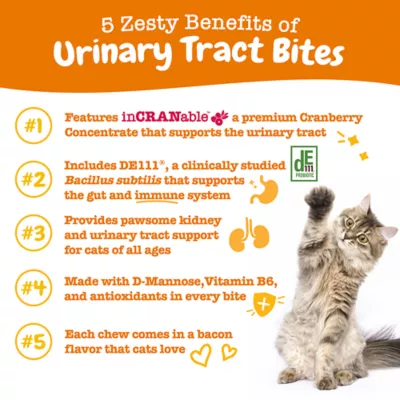 Product Zesty Paws Cranberry Bladder Urinary Supplement Bites for Cats