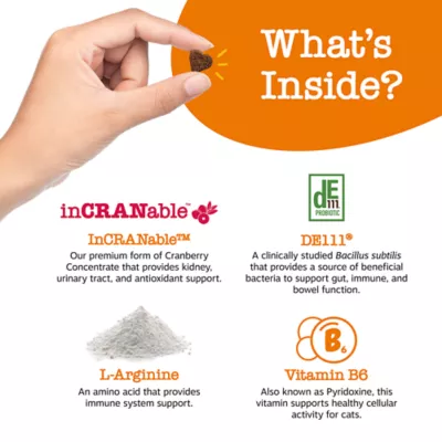 Product Zesty Paws Cranberry Bladder Urinary Supplement Bites for Cats