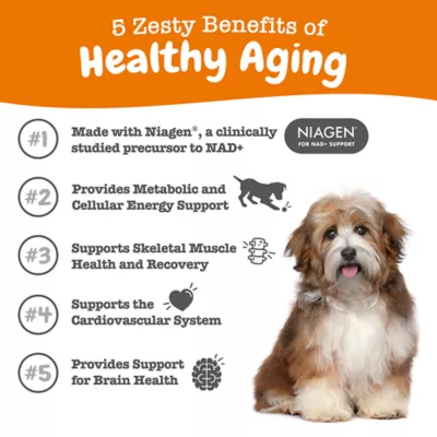 Product Zesty Paws Healthy Aging NAD+ Precursor Cellular Energy Brain & Heart Supplement for Dogs