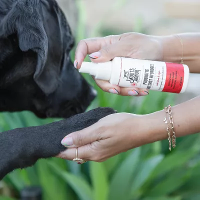 Product Skout's Honor® Pet Supply Company Wellness Probiotic Hot Spot Hydrogel for Dogs