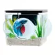 Product Top Fin® Magnified Aquarium - 3G