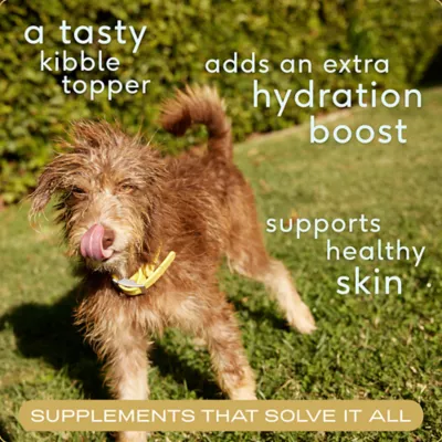 Product Native Pet Beef Bone Broth Nutritional Powder Dog & Cat Food Topper