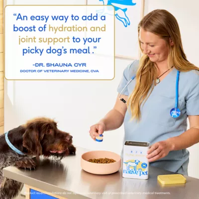 Product Native Pet Beef Bone Broth Nutritional Powder Dog & Cat Food Topper