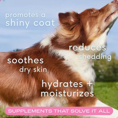 Product Native Pet Skin & Coat Chews with Omega-3 Skin & Coat Supplement for Dogs