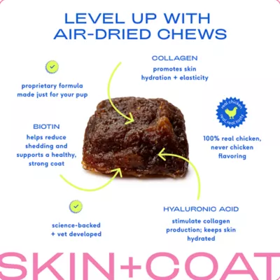 Product Native Pet Skin & Coat Chews with Omega-3 Skin & Coat Supplement for Dogs