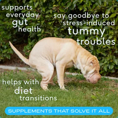 Product Native Pet Probiotic Powder Digestive Supplement for Dogs