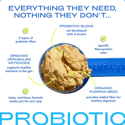 Product Native Pet Probiotic Powder Digestive Supplement for Dogs