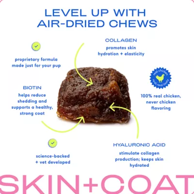 Product Native Pet Skin & Coat Chews with Omega-3 Skin & Coat Supplement for Dogs