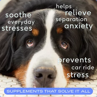Product Native Pet Calm Chews for Dogs - Anxiety & Calming Supplement