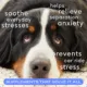 Product Native Pet Calm Chews for Dogs - Anxiety & Calming Supplement