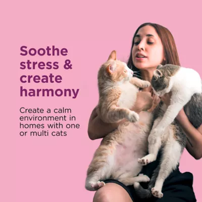 Product Comfort Zone Cat Soothing Diffuser