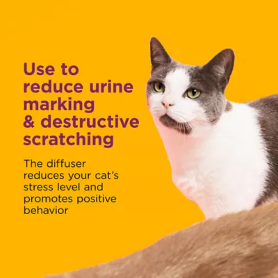 Product Comfort Zone Cat Soothing Diffuser