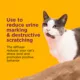 Product Comfort Zone Cat Soothing Diffuser