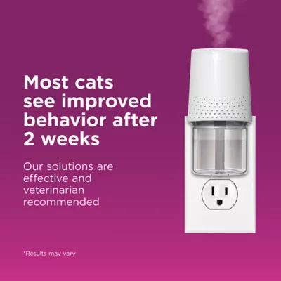Product Comfort Zone Cat Soothing Diffuser