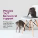 Product Comfort Zone Cat Soothing Diffuser